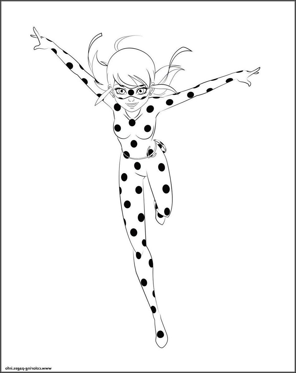 13 Dibujos De Ladybug