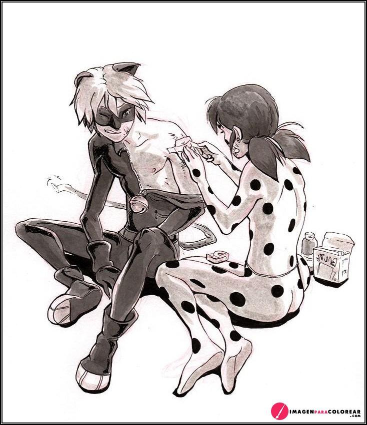 Para Colorear Ladybug