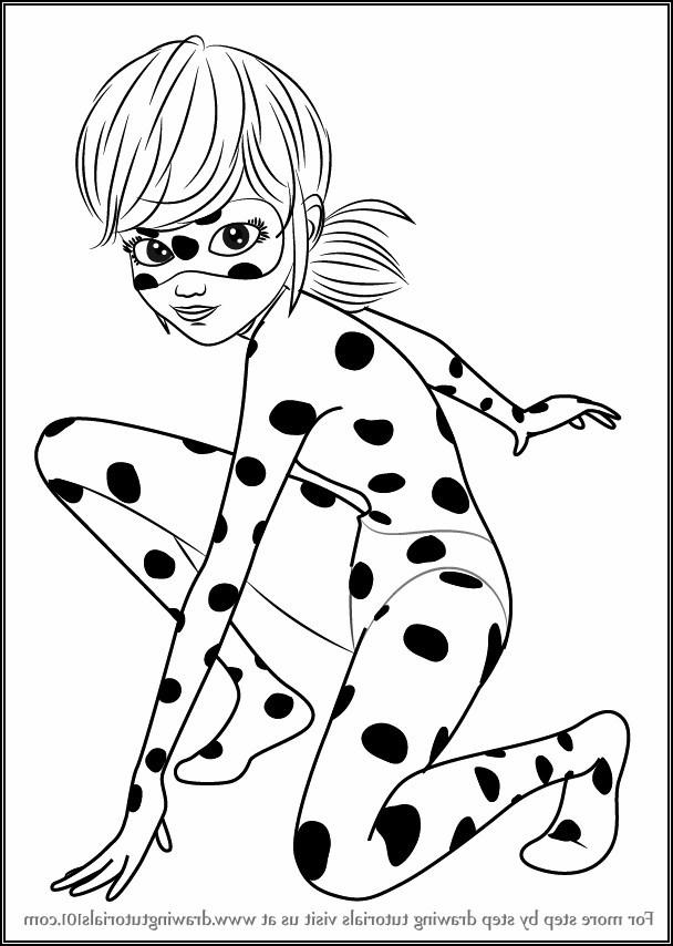 6 Dibujos De Ladybug