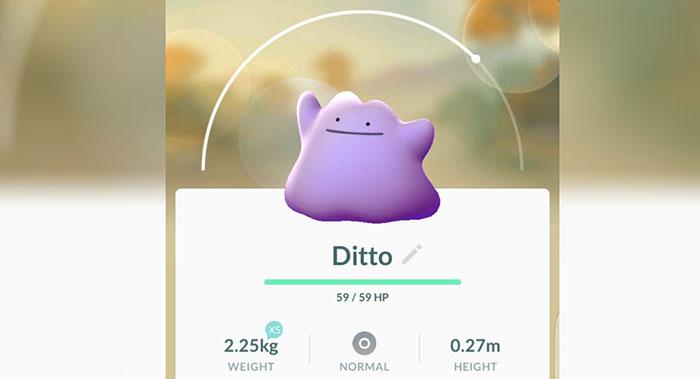 Ditto llega a Pokémon GO