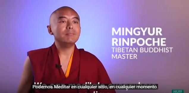 how-to-train-your-monkey-mind-2