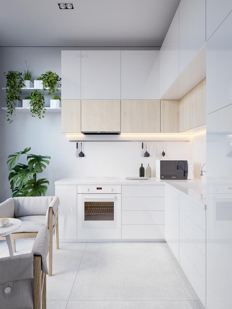 white-minimalist-kitchen-hanging-pot-plants