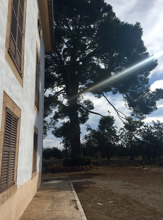 captura-de-pantalla-2016-07-05-a-las-11-25-40