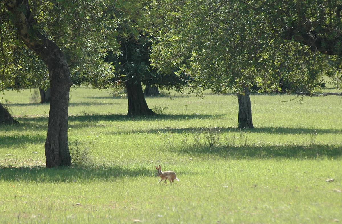 captura-de-pantalla-2016-11-15-a-las-14-24-37