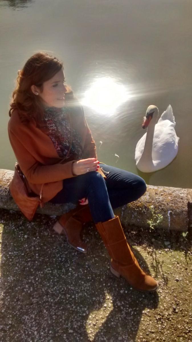 img_20161031_132249652_hdr