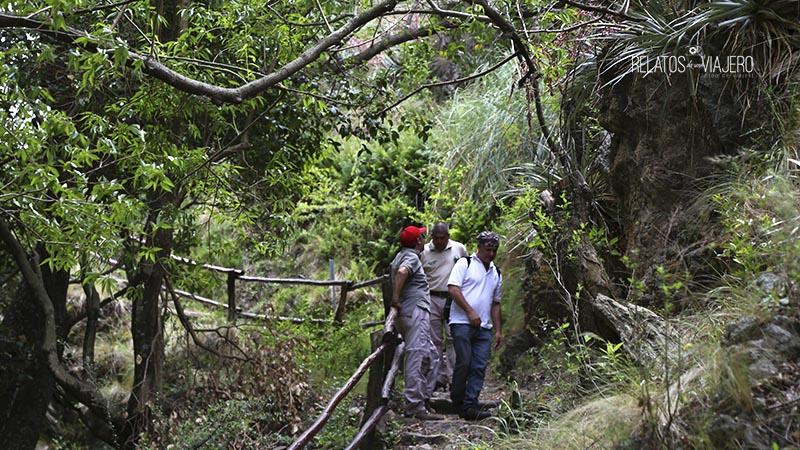 reserva-mogote-bayo-sendero-final