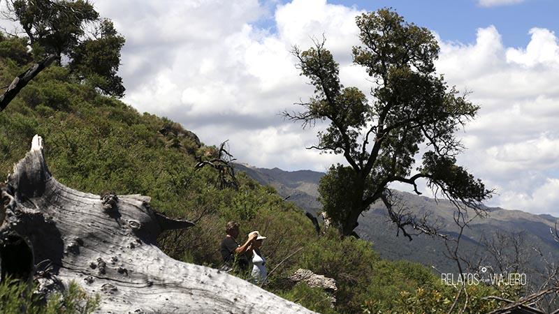 reserva-mogote-bayo-turista