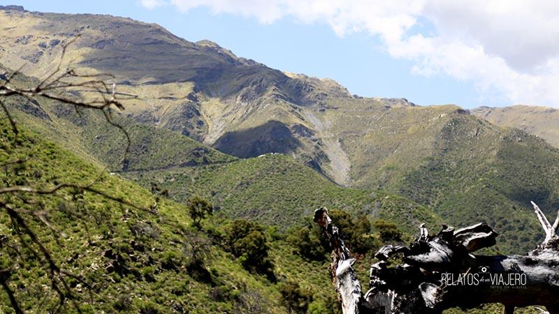 reserva-mogote-bayo-vista-iii