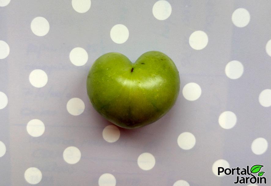 mermelada de tomates verdes