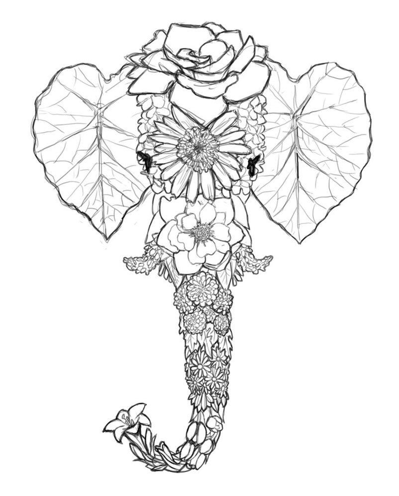 Imagenes De Ramos De Flores