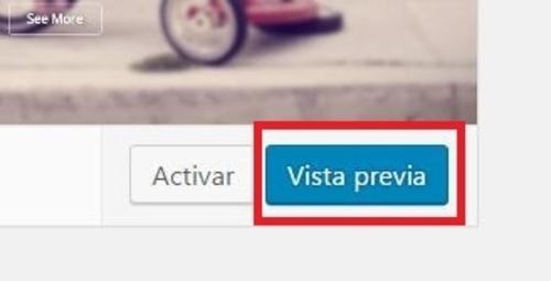 vista-previa-temas-wordpress