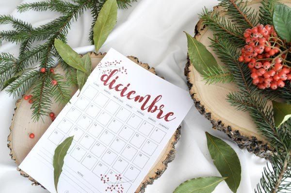 allyoursites-DESCARGABLE DICIEMBRE-2