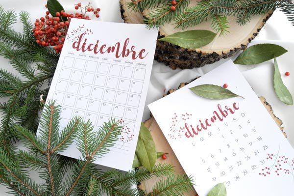 allyoursites-descargable-diciembre-5