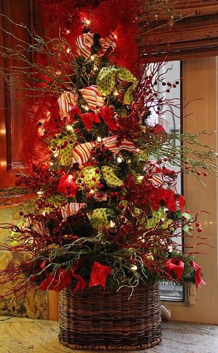 135741376238376049Tjmgo9qJc