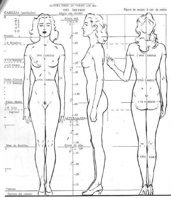 proporciones-femeninas