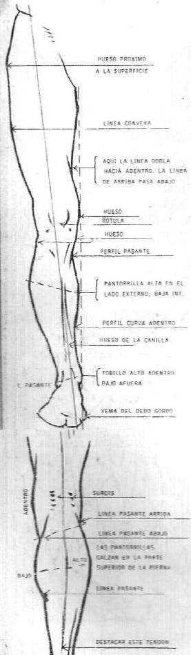 tecnica-para-aprender-a-dibujar-la-pierna-de-una-persona