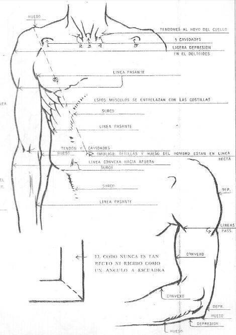 tecnica-para-dibujar-brazo-y-torso-de-persona