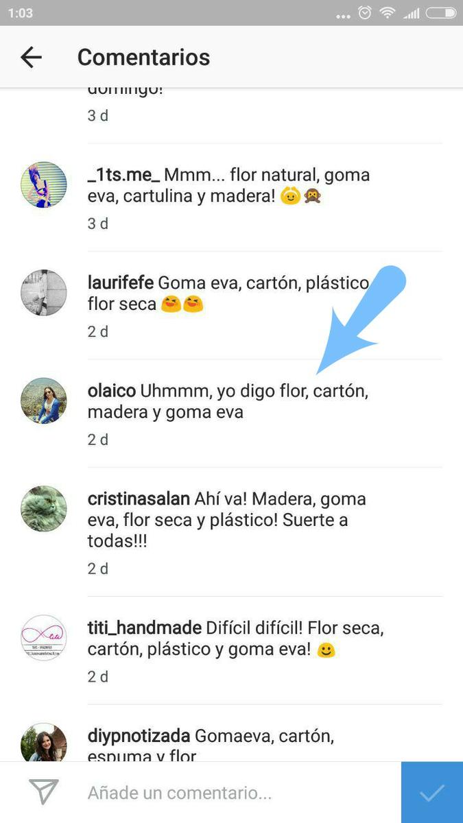 desafio-pinty-plus-ganadora