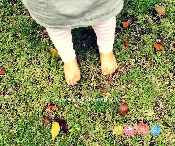 Pintar Hojas Secas en Otoño