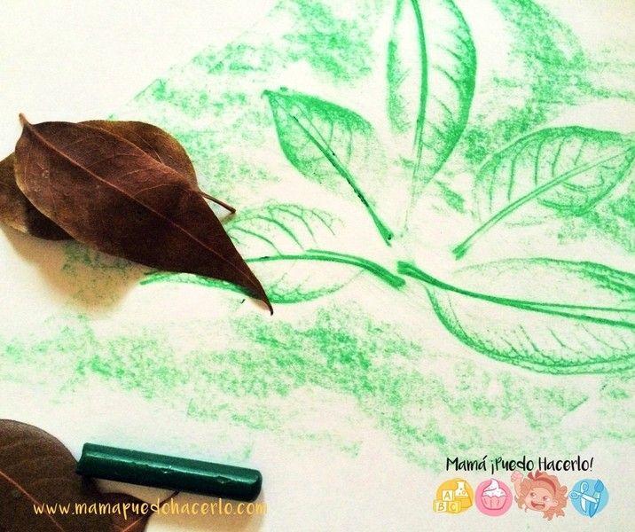 Calcar hojas secas con crayones