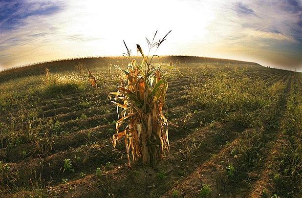 agricultura cambio climatico