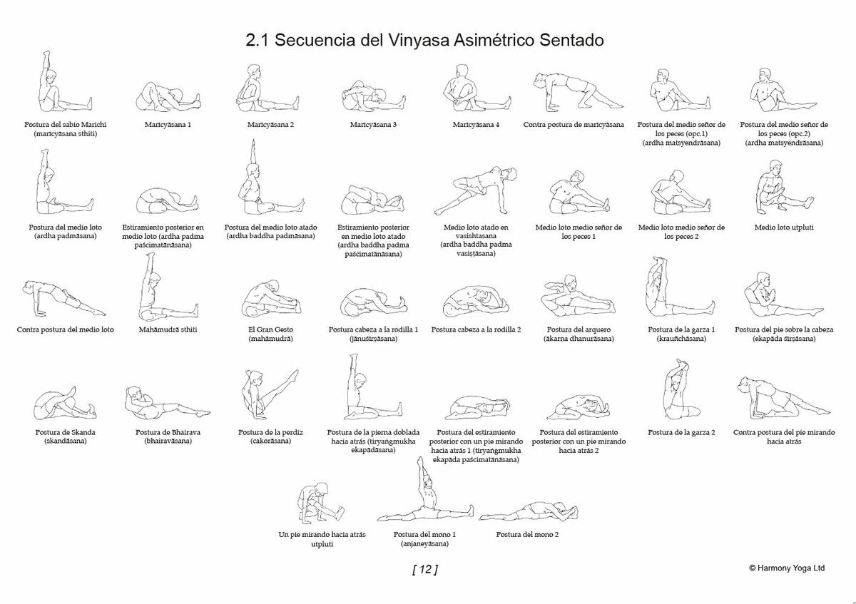 Muestra de uno de los mejores libros de Vinyasa Yoga que podemos leer en español