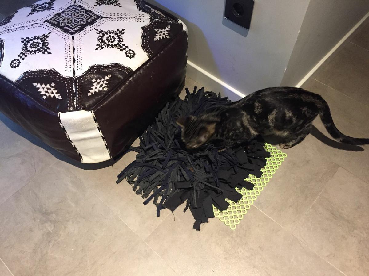 whatsapp-image-2016-12-02-at-11-13-35