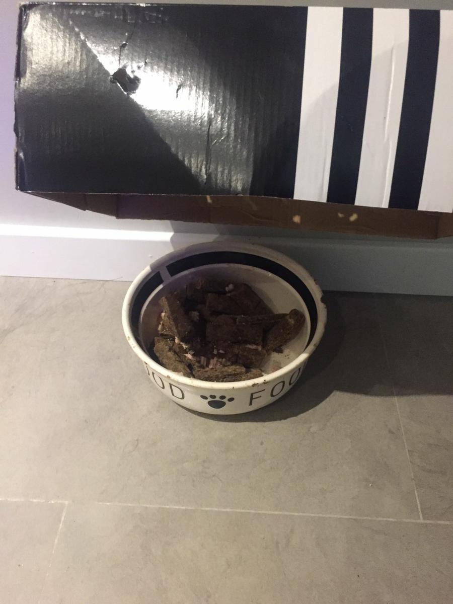 whatsapp-image-26-12-02-at-11-53-11