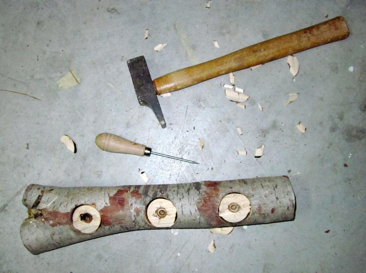 Centro de mesa hecho con un tronco