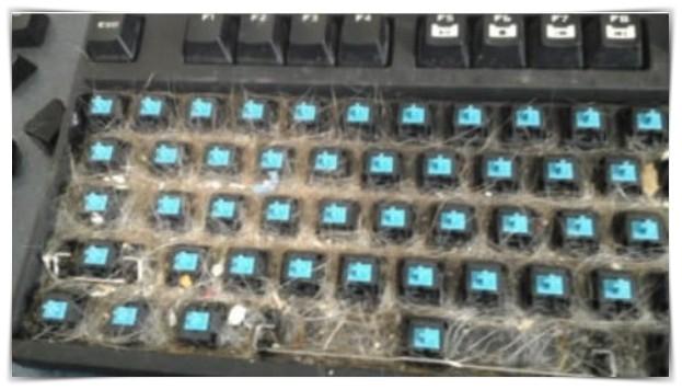 23-momentos-que-haran-llorar-a-un-informatico