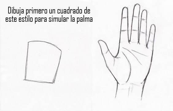 paso-1-para-dibujar-una-mano