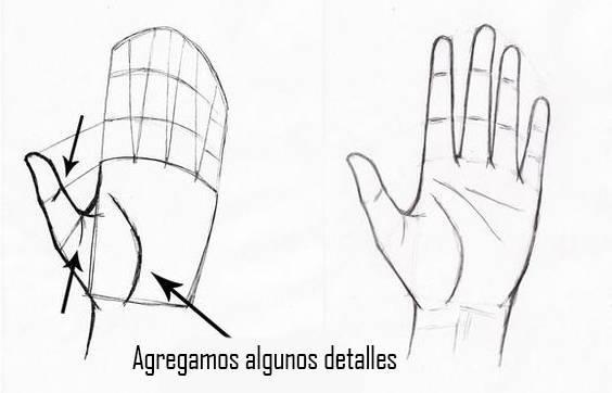 paso-10-para-dibujar-una-mano
