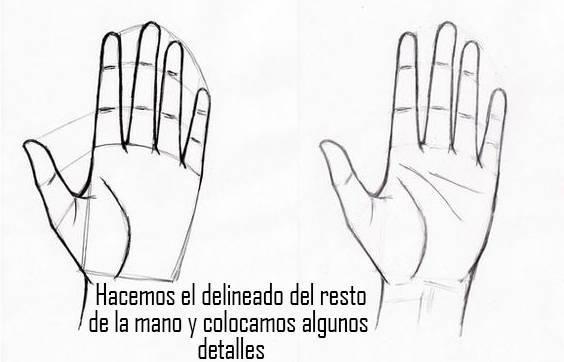 paso-11-para-dibujar-una-mano
