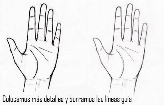 paso-12-para-dibujar-una-mano