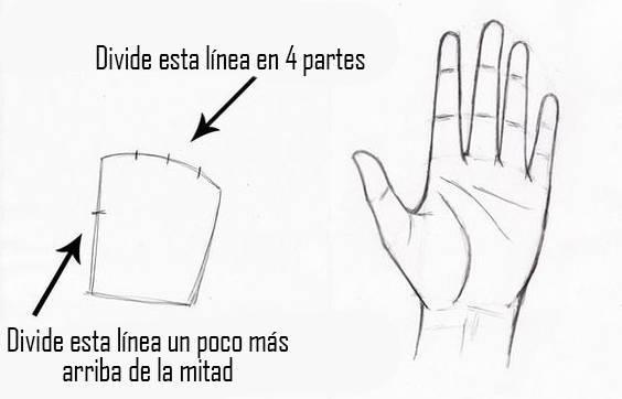 paso-2-para-dibujar-una-mano