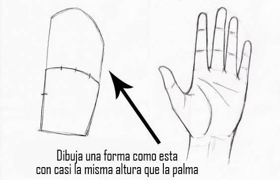 paso-3-para-dibujar-una-mano