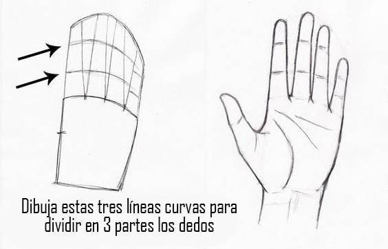 paso-5-para-dibujar-una-mano