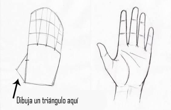 paso-6-para-dibujar-una-mano