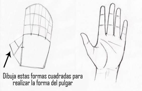 paso-7-para-dibujar-una-mano