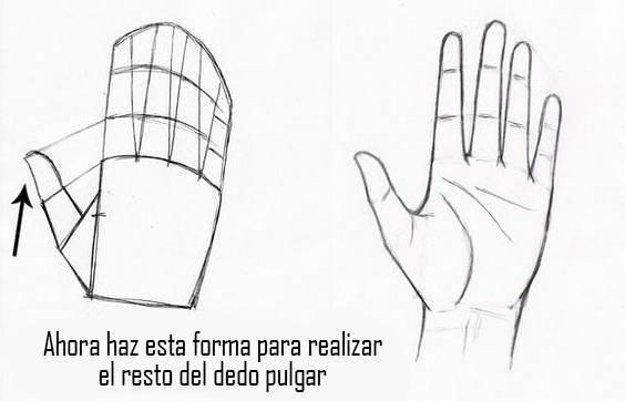 paso-8-para-dibujar-una-mano