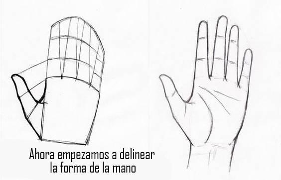 paso-9-para-dibujar-una-mano