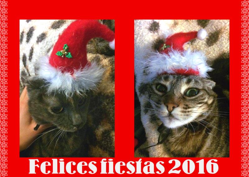 felices-fiestas-2016-gauno