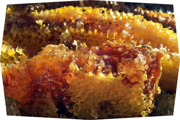 Beneficios de la miel para la piel