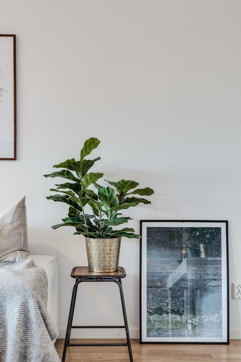 Coqueto_apartamento_lleno_de_luz_detalles_decoración_salón