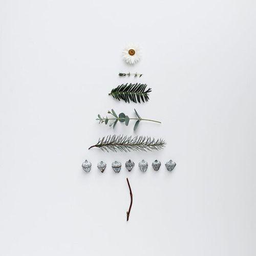 Arboles de Navidad poco tradicionales con ramas