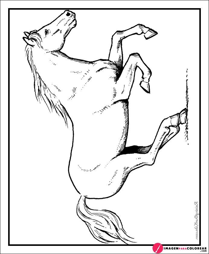 Como Dibujar Un Caballo Facil