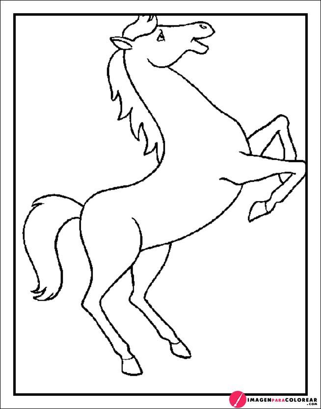 Como Dibujar Un Caballo Paso A Paso