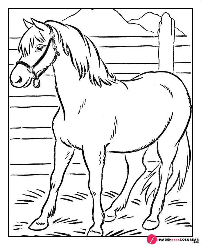 Como Dibujar Un Caballo