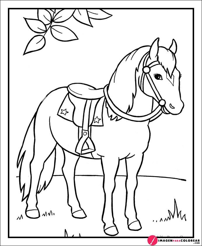 Como Se Dibuja Un Caballo