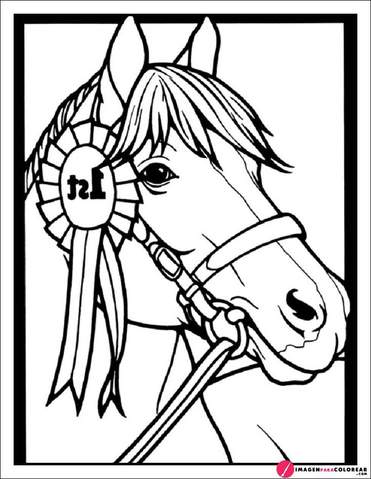 Dibujo De Un Caballo